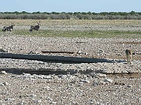 Mud Maps Africa Namibia 0685.JPG